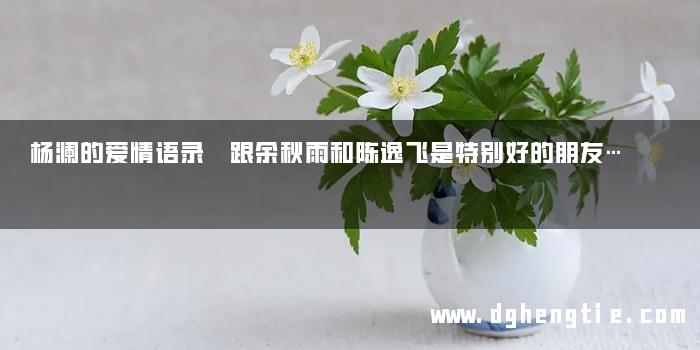 杨澜的爱情语录 跟余秋雨和陈逸飞是特别好的朋友…